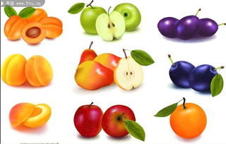 水果矢量图 水果图片